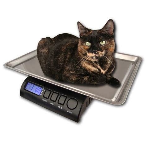 cat scale locator|cat weigh scale near me.